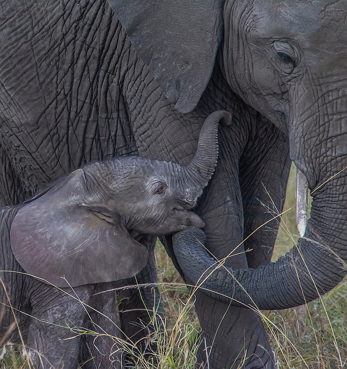 25 P. Love Sylvia Schwed